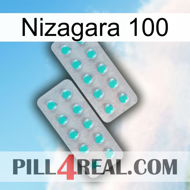 Nizagara 100 29